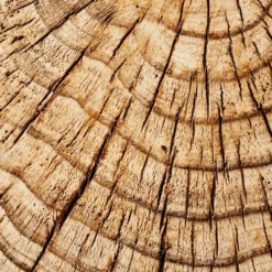 Indoor/Outdoor Faux Concrete Stump Accent Table Brown - Threshold™ Designed With Studio McGee 11 Indoor/Outdoor Faux Concrete Stump Accent Table Brown - Threshold™ Designed With Studio McGee -Cheap Furniture Store GUEST 03deabfd 2b62 4725 94b4 09a321ea8678