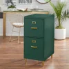 Dixie 2 Drawer Cabinet Green - Buylateral 2 Dixie 2 Drawer Cabinet Green - Buylateral -Cheap Furniture Store GUEST cffd6f1a 3821 433e a721 80becbab625e